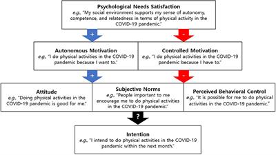 Motivation and Intention Toward Physical Activity During the COVID-19 Pandemic: Perspectives From Integrated Model of Self-Determination and Planned Behavior Theories